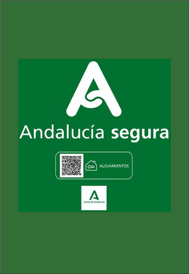Holidays2Malaga Heredia 3 Bedroom Opposite Malaga Port Dış mekan fotoğraf